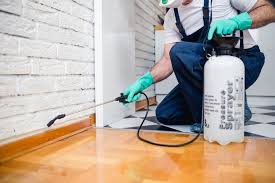 Best Residential Pest Control  in Belle Chasse, LA